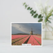 Windmolen met roze tulpen in de lente briefkaart (Staand voorkant)