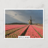 Windmolen met roze tulpen in de lente briefkaart (Voorkant)