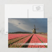 Windmolen met roze tulpen in de lente briefkaart (Voorkant / Achterkant)
