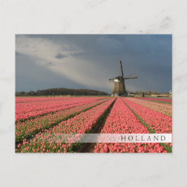 Windmolen met roze tulpen in de lente briefkaart