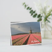 Windmolen met roze tulpen in de lente briefkaart (Staand voorkant)