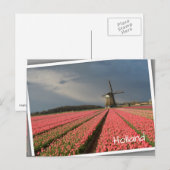 Windmolen met roze tulpen in de lente briefkaart (Voorkant / Achterkant)