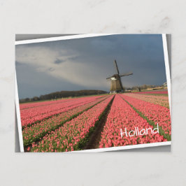 Windmolen met roze tulpen in de lente briefkaart