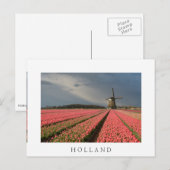 Windmolen met roze tulpen in de lente briefkaart (Voorkant / Achterkant)