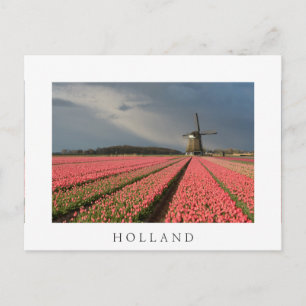 Windmolen met roze tulpen in de lente briefkaart