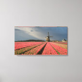 Windmolen met roze tulpen in de lente canvas afdruk (Voorkant)