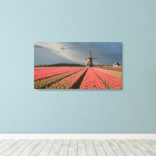 Windmolen met roze tulpen in de lente canvas afdruk (Insitu (Houten vloer))
