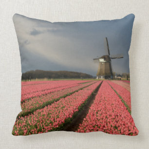 Windmolen met roze tulpen in de lente kussen
