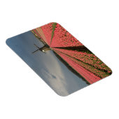 Windmolen met roze tulpen in de lente magneet (Rechterzijde)