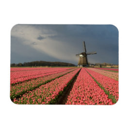 Windmolen met roze tulpen in de lente magneet