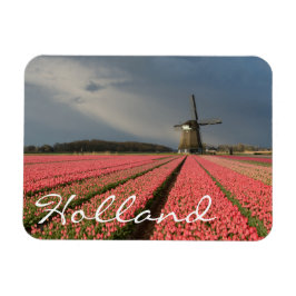 Windmolen met roze tulpen in de lente magneet