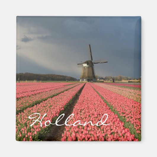 Windmolen met roze tulpen in de lente magneet (Voorkant)