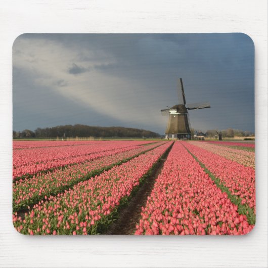 Windmolen met roze tulpen in de lente muismat (Voorkant)