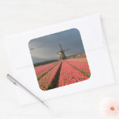 Windmolen met roze tulpen in de lente vierkante sticker (Envelop)