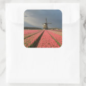 Windmolen met roze tulpen in de lente vierkante sticker (Tas)