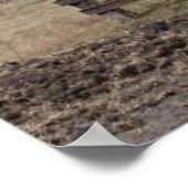 windmolen poster (Hoek)