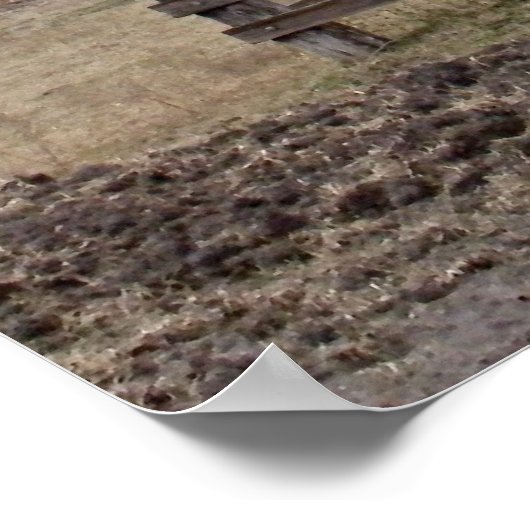 windmolen poster (Hoek)