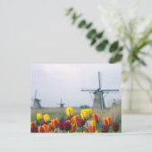 Windmolens en tulpen langs het kanaal briefkaart (Staand voorkant)