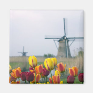 Windmolens en tulpen langs het kanaal in magneet