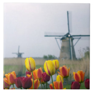 Windmolens en tulpen langs het kanaal in tegeltje
