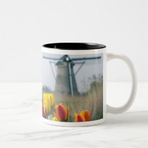 Windmolens en tulpen langs het kanaal in tweekleurige koffiemok