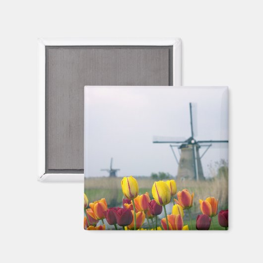 Windmolens en tulpen langs het kanaal magneet (Voorkant / Achterkant)