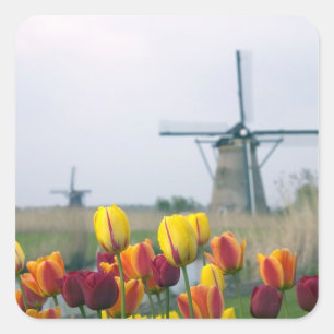 Windmolens en tulpen langs het kanaal vierkante sticker