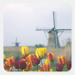 Windmolens en tulpen langs het kanaal vierkante sticker