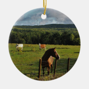 Windmolens in de Afstand Keramisch Ornament