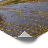 Windmolens langs het kanaal in Kinderdijk, 2 Poster (Hoek)