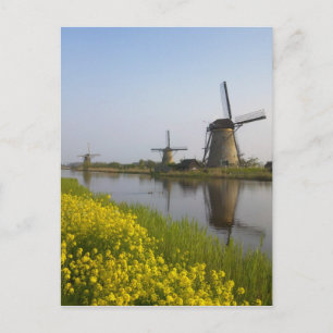 Windmolens langs het kanaal in Kinderdijk, Briefkaart
