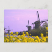 Windmolens langs het kanaal in Kinderdijk, Briefkaart (Voorkant)