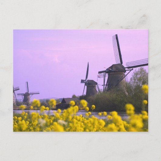 Windmolens langs het kanaal in Kinderdijk, Briefkaart (Voorkant)