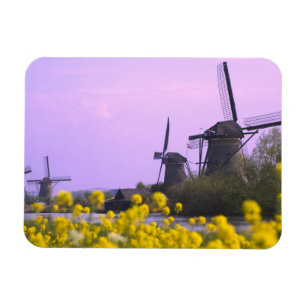 Windmolens langs het kanaal in Kinderdijk, Magneet