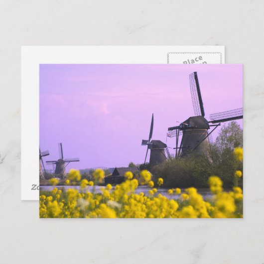 Windmolens langs het kanaal van Kinderdijk, Briefkaart (Voorkant / Achterkant)