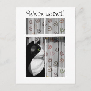 Window Cat New Home Announcement Card Aankondiging