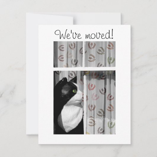 Window Cat New Home Announcement Card Aankondiging (Voorkant)