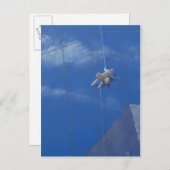 Window Cleaner 1990 Briefkaart (Voorkant / Achterkant)