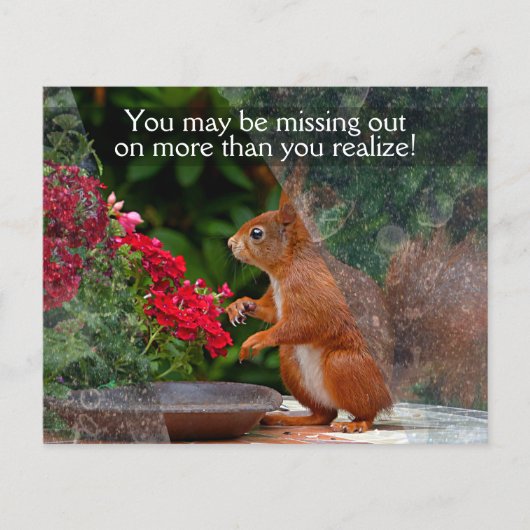 WINDOW CLEANING BUSINESS 4x5  PROMO Flyer (Voorkant)