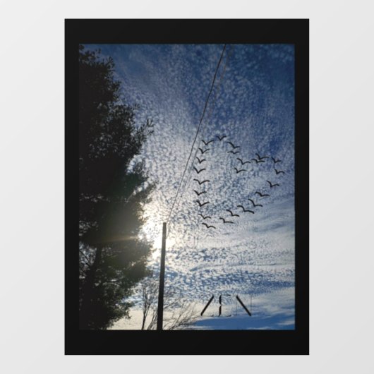Window Cling Raamsticker (Vel)