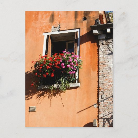 Window Flowers Briefkaart (Voorkant)