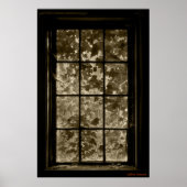 Window Ivy Sepia, Jeffrey Sinnock Poster (Voorkant)