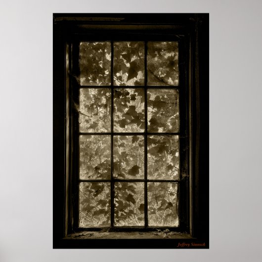 Window Ivy Sepia, Jeffrey Sinnock Poster (Voorkant)