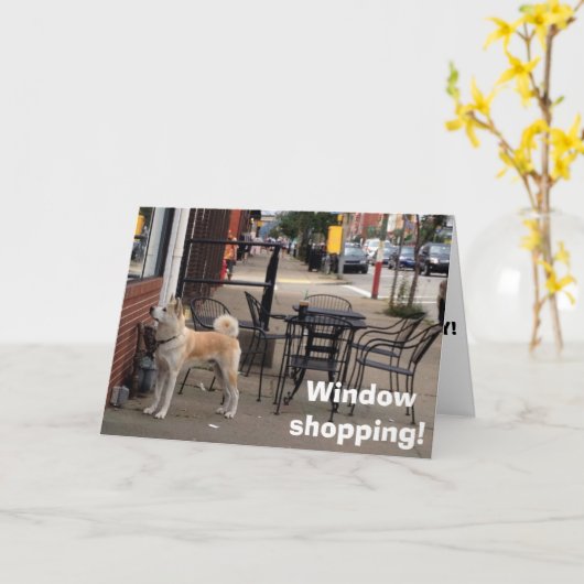 WINDOW SHOPPA "AKITA" ZEGT DAT HET BIRTHDAY IS KAART (Gele Bloem)