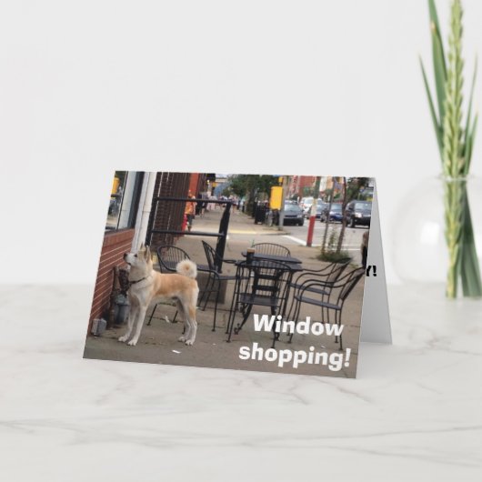WINDOW SHOPPA "AKITA" ZEGT DAT HET BIRTHDAY IS KAART (Voorkant)