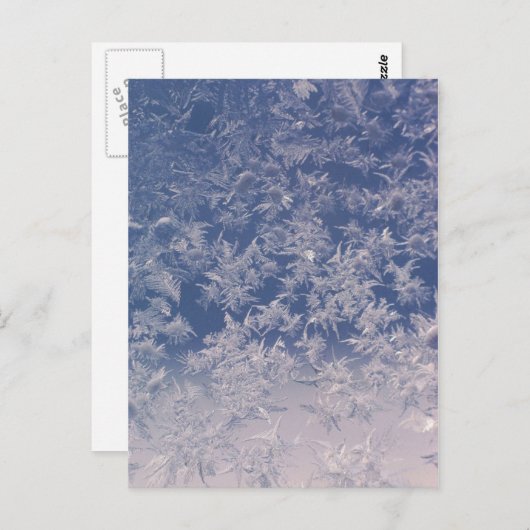 Window Snowflakes Briefkaart (Voorkant / Achterkant)