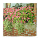 Windows Box Flowers Tegeltje (Voorkant)