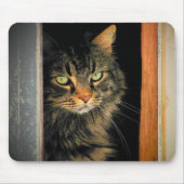 Windows Cat Muismat (Voorkant)