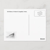  Windows of St. Augustine, Florida Briefkaart (Achterkant)