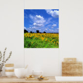 Windslagvelden en lucht poster (Keuken)